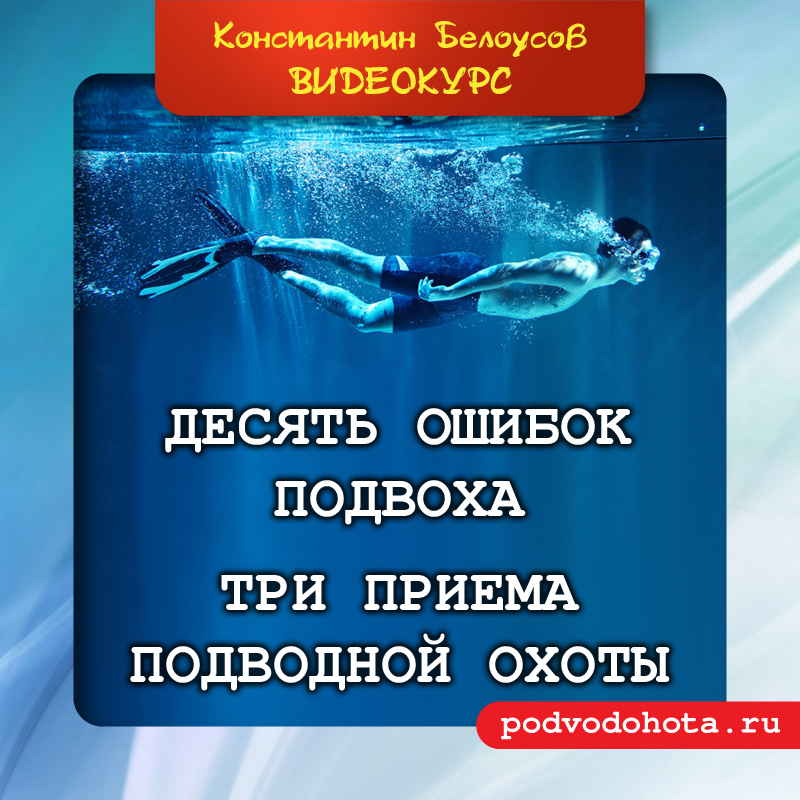 vip_day vip_day